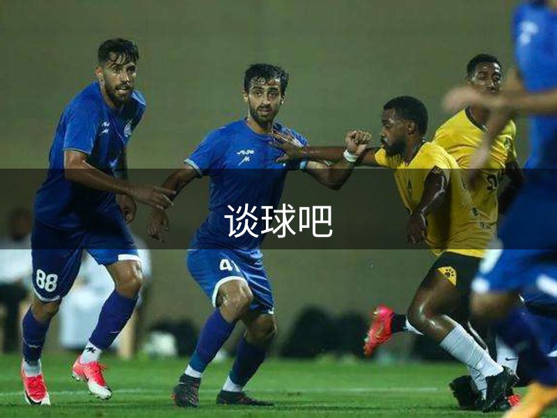 网站概况